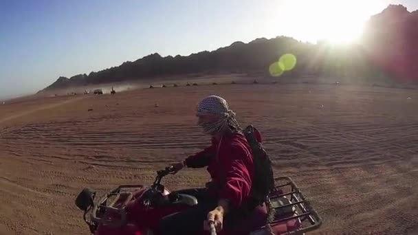 Montar Quad Bikes Desierto Egipto Conducción Vehículos Todo Terreno Aventuras — Vídeo de stock