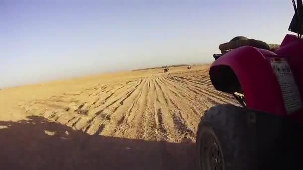 Atv Vezetése Egyiptom Sivatagában Quad Bike Lovagolni Egyiptom Sivatagában Sivatagi — Stock videók