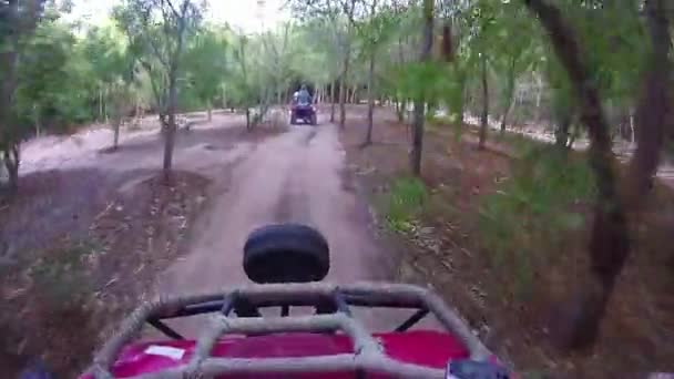 Condução Quad Bike Longo Uma Estrada Florestal Deserto Egito Andar — Vídeo de Stock