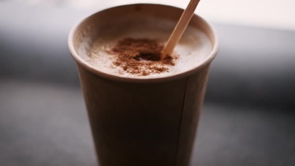 Close View Hot Coffee Sustainable Paper Cup Sprinkled Cinnamon Highlighted — Vídeo de stock