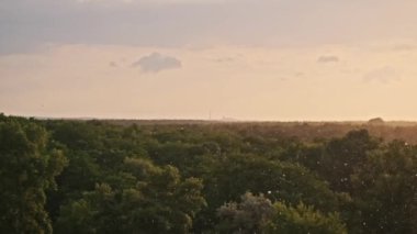 Yağmurun sihrini yavaş çekimde yaşayın. Gün batımının altın renkleriyle aydınlatılmış bir ormanın arka planına damlacıklar düşerken. Bu video büyüleyici bir görsel görüntü sunuyor..