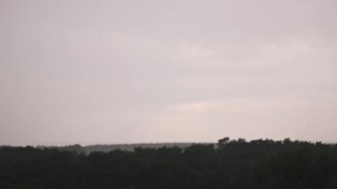 Geniş bir ormanı silip süpüren bir yağmur fırtınası. Fırtınalı gökyüzüne karşı ağaçların karanlık silueti dramatik ve yoğun bir sahne yaratıyor, hava olayları veya doğal güçleri tasvir eden projeler için ideal..