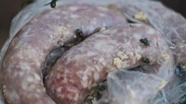 Kurtçuklar ve sinekler tarafından istila edilmiş çürümüş sosislere aşırı derecede yakın. Gıda bozulması ve sağlığa zararın grafiksel çizimi.