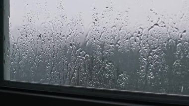 Pencere camına yapışan yağmur damlalarının sakin görüntüleri dingin bir ormanın görüntüsünü bulanıklaştırıyor. Doğa, hava ve rahatlama temaları için mükemmel.