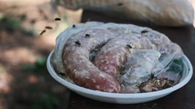 Dışarıda bırakılmış çürük sosisler, sinek sürülerini çekiyor ve kurtçuklar için üreme alanı haline geliyor. Uygunsuz gıda depolama ve gıda hastalığının tehlikelerinin canlı bir örneği..