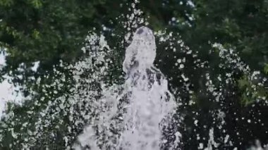 Su fıskiyelerinin sersemletici yavaş çekim görüntüleri su damlacıklarının, yemyeşil bir yaprak zeminine karşı havaya dağılırken karmaşık detaylarını gözler önüne seriyor..