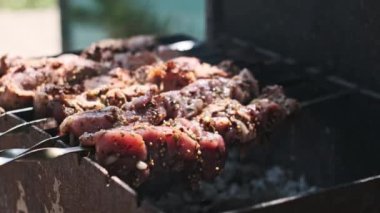 Yakın çekim, Shashlik 'in sıcak kömürlerin üzerinde ızgara yaparken çekici aromasını ve görsel çekiciliğini yakalar ve açık hava yemeklerinin dumanlı tadını gösterir..