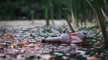 Plastik bir şişe, ördek otu ve dökülen yapraklarla kaplı bir bataklığı kirletir. Çevresel hasarı simgeler..
