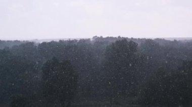 Kuvvetli bir sağanak yağmur damlalarıyla yemyeşil bir ormanı yutar ve ön planda büyüleyici bir perde oluşturur..