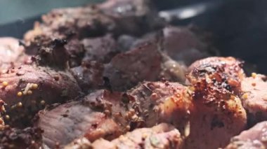 Çiğ shaşlik 'in yakın plan çekimi, baharat, bitki ve soğan karışımı ile cömertçe baharatlı ve lezzetli bir barbekü deneyimi vaat eden lezzetli eti gözler önüne seriyor..
