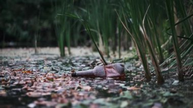 Atılmış plastik şişeyle kirletilmiş bir bataklık, insan eylemlerinin doğal dünya üzerindeki olumsuz sonuçlarını vurguluyor..