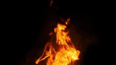 Canlı turuncu alevler dans ediyor ve saf siyah bir arkaplanda titreşiyor. Görsel efektler, hareket grafikleri ve dinamik ve ateşli bir elemente ihtiyaç duyan her proje için mükemmel..