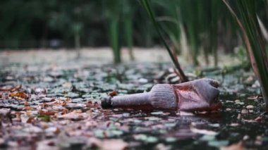 Plastik bir şişe, dökülen yapraklarla kaplı bir bataklıkta yüzer. Plastik kirliliği ve bunun doğa üzerindeki yıkıcı etkisini vurgular..