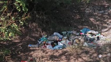 Büyük bir çöp yığını, kirlilik ve çevresel hasar sorununu vurgulayarak bir ormana atılmış..