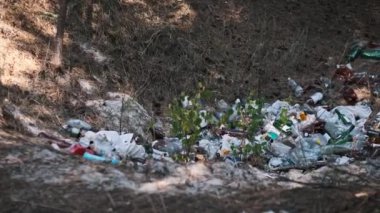 Plastik ve cam şişeler, torbalar ve diğer çöpler orman tabanını kirletiyor. Çevre kirliliği sorunu.