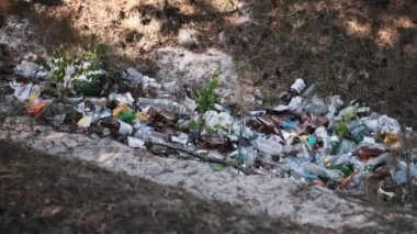 Çoğunlukla plastik ve cam şişelerden oluşan bir çöp yığını, sakin bir ormanı kirletiyor. İnsan faaliyetlerinin olumsuz etkisi.