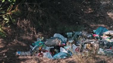 Büyük bir çöp yığını sakin bir ormanı kirletiyor ve çevresel hasar sorununu vurguluyor..