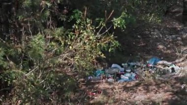 Ormandaki ağaçlar ve çalılar arasında etrafa saçılmış çeşitli çöpler çevresel kirlilik sorununu gösteriyor.