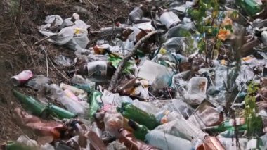 Plastik ve cam şişeler de dahil olmak üzere büyük bir çöp yığını orman tabanını kirleterek, sorumsuz atıkların atılmasının yol açtığı çevresel hasarı vurguluyor..