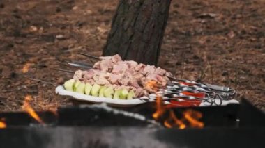 Çiğ, baharatlı domuz eti şişleri ve ızgara için hazırlanmış elma dilimleri ormandaki şenlik ateşinin yanında dinleniyor..