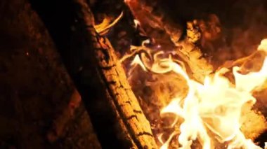 Gece bir kamp ateşi, kütükler arasında dans eden turuncu ve mavi alevlerle parlıyor. Ateşin sıcak parıltısı karanlıkta samimi ve davetkar bir atmosfer yaratır..