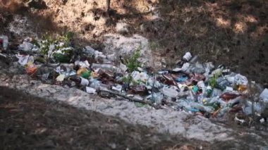 Ormanın zeminini kirleten plastik ve cam şişelerin iç karartıcı görüntüsü, kirliliğin doğal ortamlar üzerindeki yıkıcı etkisini vurguluyor..