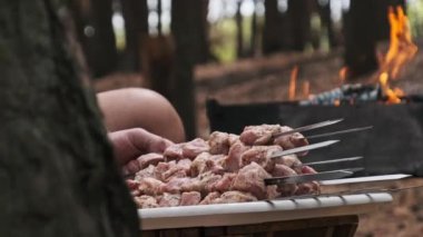 Lezzetli çiğ domuz eti, baharatlı ve ızgarada pişirilmeye hazır. Orman ortamında lezzetli bir barbekü yemeği..