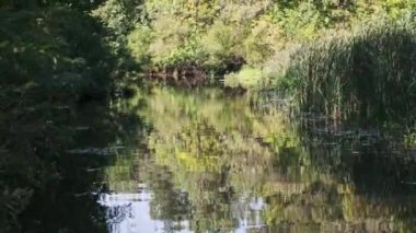 Nehrin sakin suları yemyeşil ve sakin orman çevrelerini yansıtır. Huzur ve şehrin telaşından kaçmak için bir konsept..