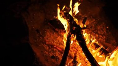Canlı turuncu alevlerle büyüleyici kamp ateşi dans ediyor ve karanlıkta yanıp sönüyor. Yanan kütükler sıcaklık ve ışık saçıyor, samimi, davetkar atmosfer, açık hava maceralarını, toplantıları tasvir ediyor.
