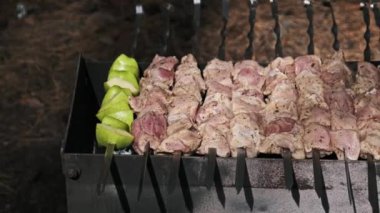 Mangalda ızgara baharatlı elmalı çiğ domuz şişleri yakından görülüyor. Yaz pikniği kavramı.