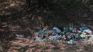 Ormandaki bir ağacın altındaki çöp yığını çevresel kirliliği ve sorumsuz insan davranışlarını simgeler.
