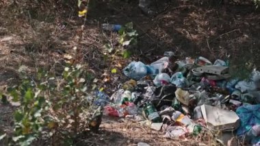 Ormanda kalan büyük bir çöp yığını kirlilik sorununu gösteriyor..
