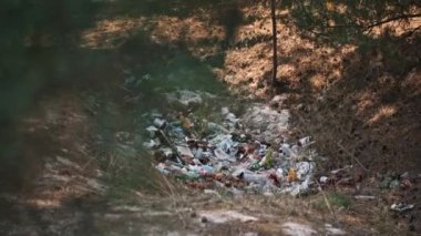 Plastik ve cam şişeler, diğer çöplerle birlikte, bir ormanda yere saçılmış, kirliliğin doğa üzerindeki olumsuz etkisini gösteriyor..