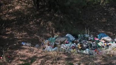 Ormanda büyük bir çöp yığını uzanıyor, çevreyi kirletiyor ve doğa için ciddi bir tehdit oluşturuyor.