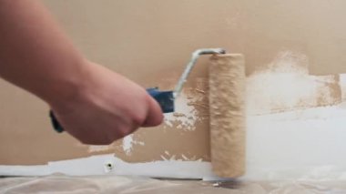 Yavaş çekim. El, beyaz astar kaplamalı bir silindir kullanarak bir duvar bejini boyuyor. Sürecin ayrıntılı çekimi, ev dekorasyonu, yenileme ve DIY içeriği için mükemmel.