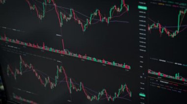 Bir bilgisayar monitöründe sergilenen borsa grafiklerinin yakın çekimi, fiyat dalgalanmalarını ve piyasa eğilimlerini gösteriyor. Finansal ve iş projeleri için ideal.