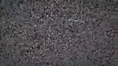 Klasik analog televizyon parazitinin yakın çekimi, titreşen siyah ve beyaz noktaların yoğun bir desenini gösteriyor. Bu, eski bir TV ekranında sinyal ve yayın parazitini temsil ediyor.