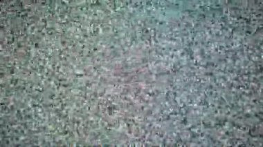 Aşırı yakın çekim makro çekim analog TV parazitinin kaotik titreşimli dokusunu yakalar. Beyaz ve gri pikseller rastgele dans ederek sinyal parazitinden soyut bir görsel gürültü kalıbı yaratırlar..
