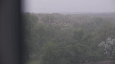 Şiddetli, sağanak yağmur sık yeşil bir ormanın üzerine yağarken sağanak yağış, uzak ağaçları sisli bir şekilde örtüyor. Karanlık bir ön plan elementi, ıslak ve karamsar sahneyi biraz çerçeveler..