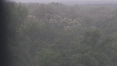 Yoğun bir orman manzarasının geniş bir görüntüsü. Yoğun bir sağanak altında ağaçlar yoğun bir şekilde sallanırken yoğun bir sis tabakasıyla kaplanıyor ve görüş mesafesi önemli ölçüde azalıyor. Sahne güçlü ve fırtınalı bir atmosfer taşır.