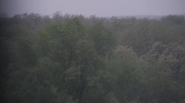 Yoğun orman ağaçları sürekli sağanak yağış ve rüzgarla hırpalanarak sisli ve yağmurlu bir manzara yaratırlar. Gri, bulutlu gökyüzü, sahnenin kasvetli ve ıslak atmosferine katkıda bulunur..