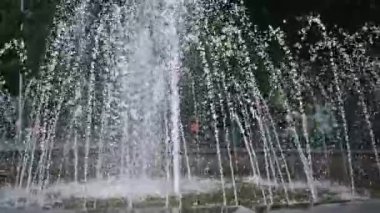 Yavaş çekim, çeşme başlığından fışkıran su damlacıklarını gösteriyor. Parlayan damlalar karanlık, bulanık bir park arka planına karşı dinamik ve ferahlatıcı bir doku oluşturur..