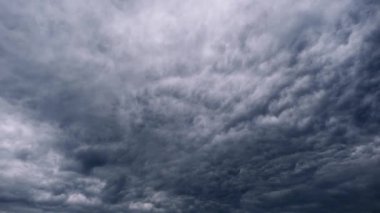 Üzerimizde dönen karanlık, dramatik fırtına bulutlarının zamanı. Uğursuz, desenli gri bulut dalgaları ve akıntılar, ara sıra bir fırtına gelmeden önce birkaç kuş çerçevenin içinden uçar..