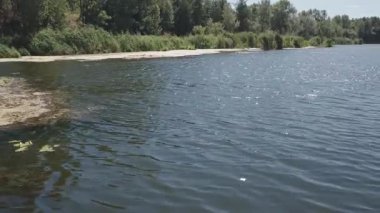 Sakin bir nehrin manzarası. Hafif dalgalanmalar, güneş ışığını yansıtıyor. Uzak kıyılar yemyeşil ağaçlar ve kamışlarla dolu kumlu bir sahil, huzurlu ve doğal bir yaz manzarası yaratıyor..