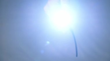 Gri arkaplana karşı siyah bir el feneri tutarak güçlü bir ışık yakar ve doğrudan lense doğru parlar. Bu da güçlü bir parlamaya neden olur..