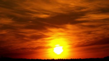 Güneş 'in yakın çekim hızı ağaç hattının altında kayboluyor. Yoğun turuncu ışıltıyı, çarpıcı ince bulutları ve alacakaranlıkta parlak güneş diskinde uçan tek bir kuzgun siluetini gösteriyor..