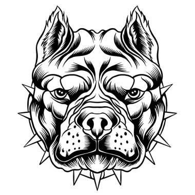 Pitbull head vector design illustration