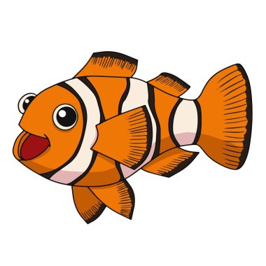 palyaço balığı resimde beyaz zemin üzerine