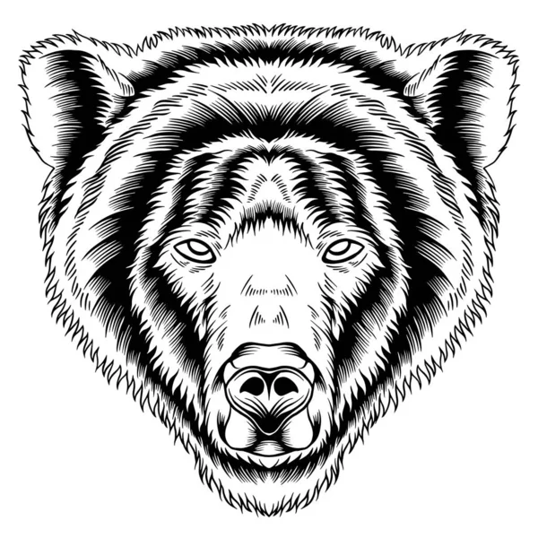 Angry Bear Face Black White Vector Illustration — ストックベクタ