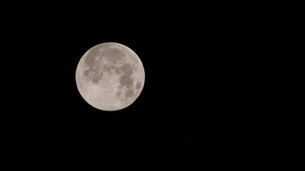 Magnifique Lune Froide Dernière Pleine Lune Décembre 2022 Mars Peut — Video